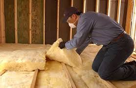 Best Eco-Friendly or Green Insulation Solutions  in , DC